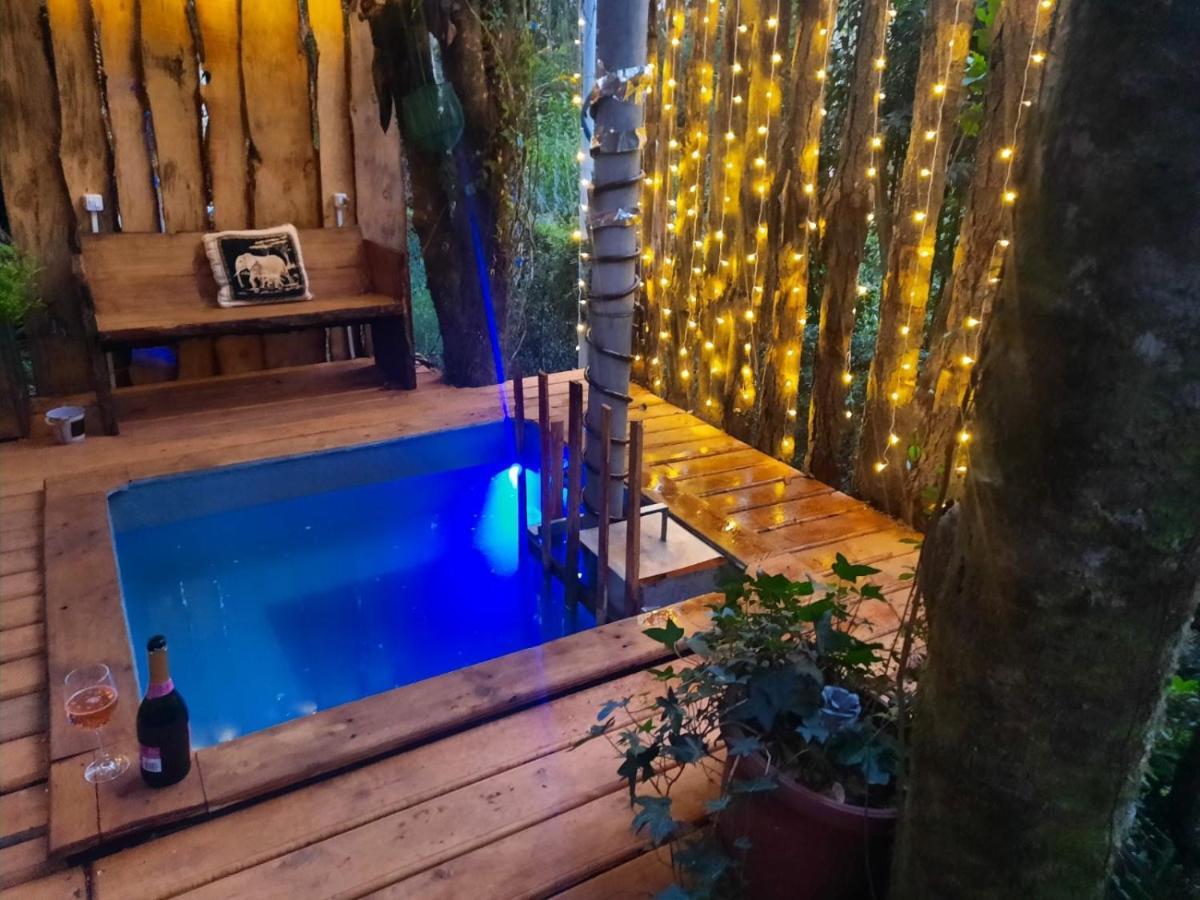 Con Tinaja En Bosque Valdiviano Casa de férias
